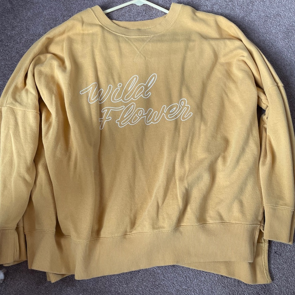 aerie oversized sweatshirt